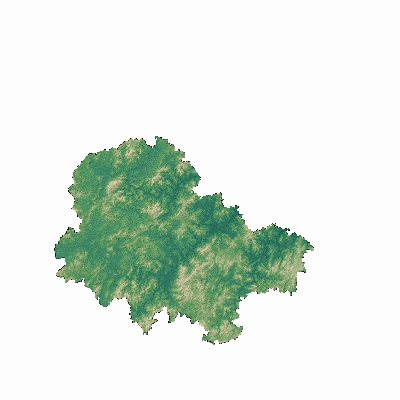 Export Image