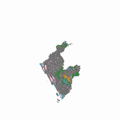 Export Image