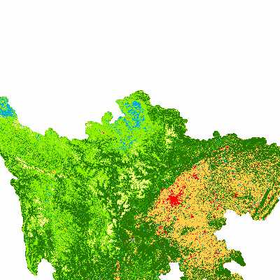 Export Image