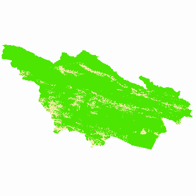 Export Image